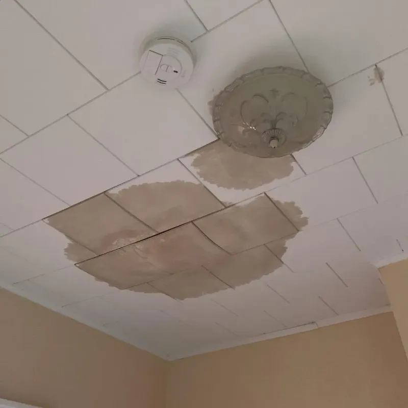 Ceiling Water Damage Repair in Toledo, OH
